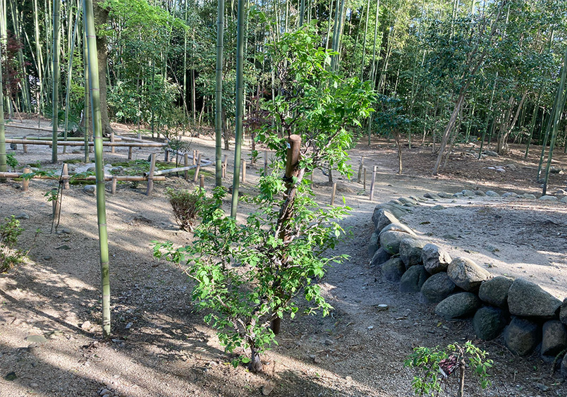 藤原利仁将軍塚